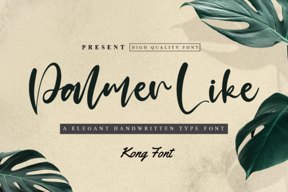 Palmer Like: A Playful Script Font for Modern Brands